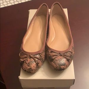 Banana Republic Ashley Ballet Flats